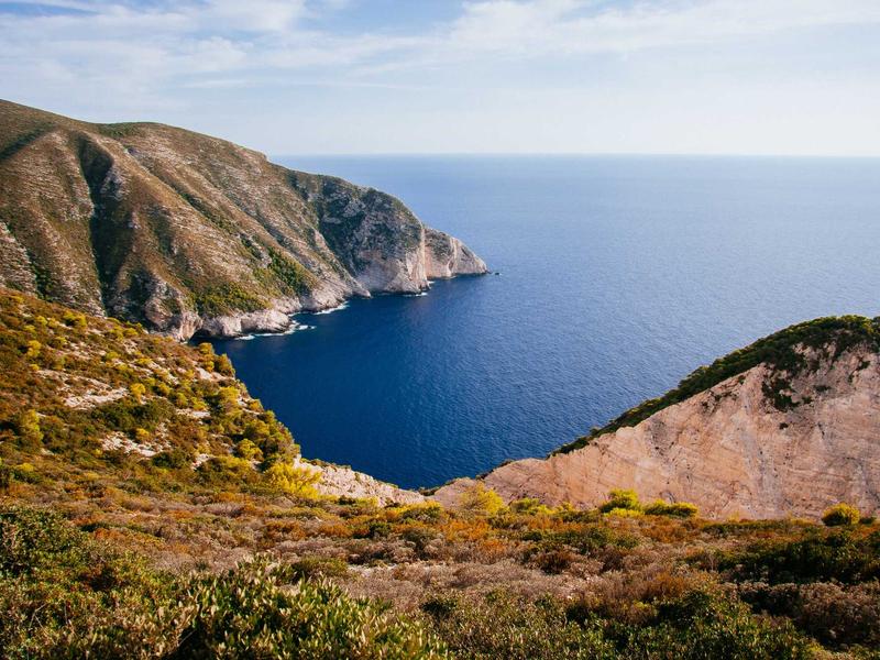 펫 어메니티 & 웰컴 키트